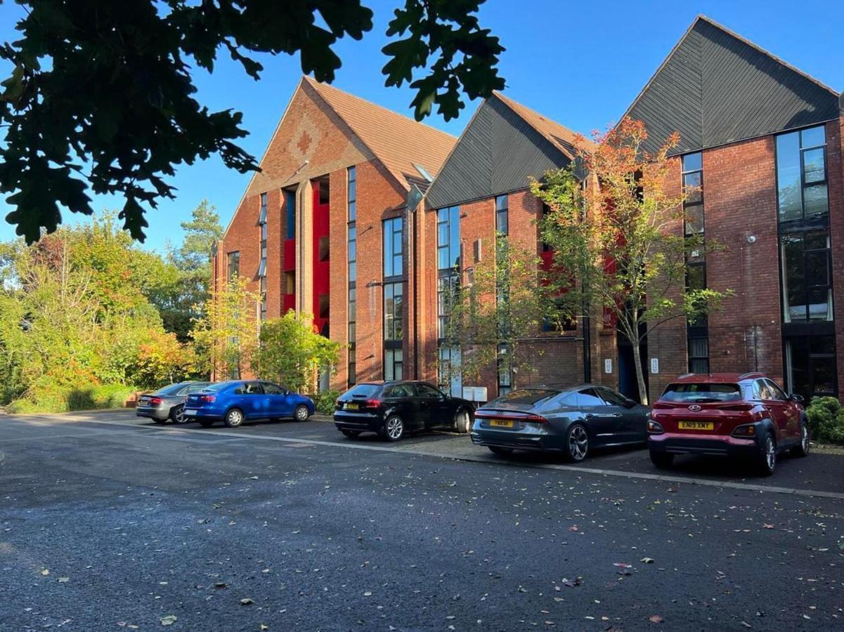 Modern Luxurious Apartment W/ Patio Balcony & View Jordanstown Esterno foto